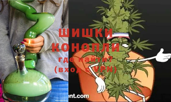 индика Пестово