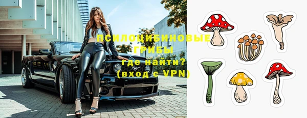 шишки Елизово