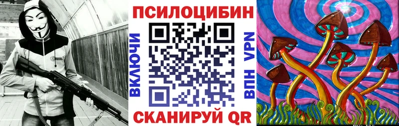 Псилоцибиновые грибы мицелий Рошаль